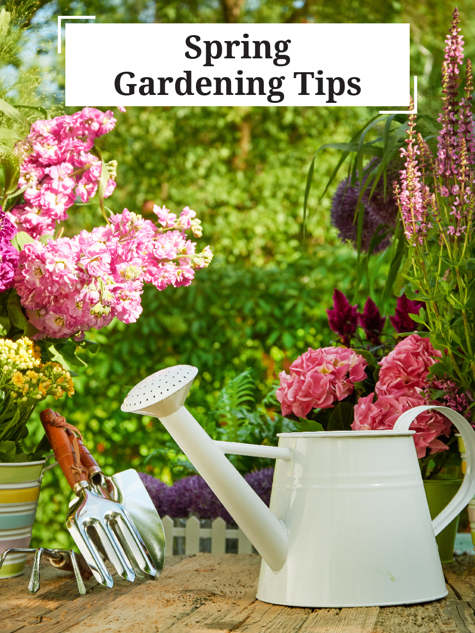 The First Day Of Spring 2024 Gardening Tips Kira Randee