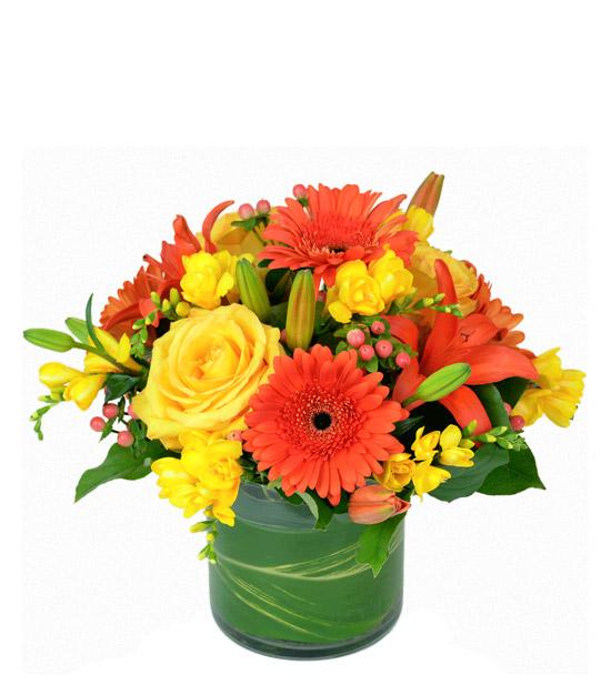 CITRUS Karen's Flower Shop