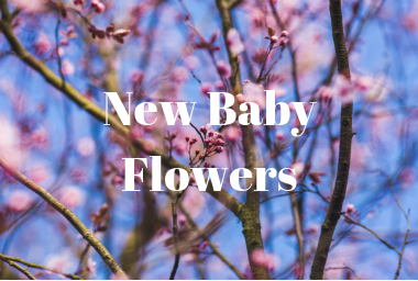 NEW BABY FLOWERS