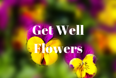 GET WELL FLOWERS