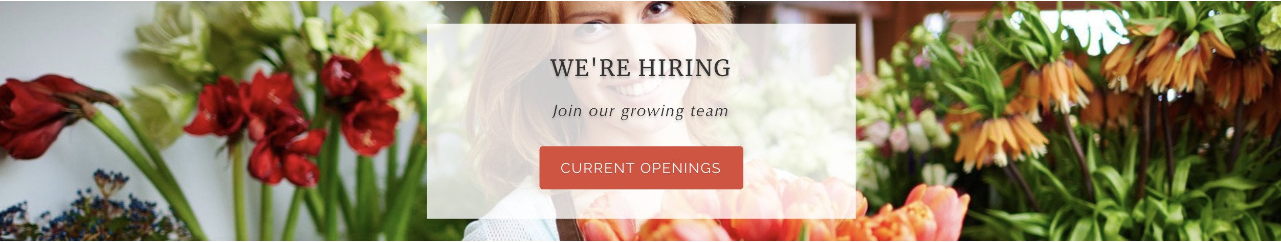 flower shop job openings near me flower shop job openings near me