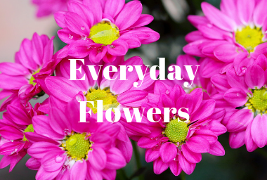 EVERYDAY FLOWERS