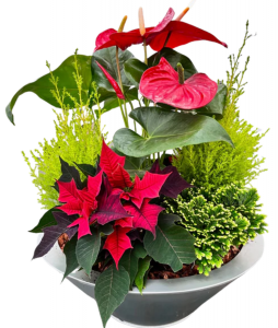 Giant Holiday Tropical Planter