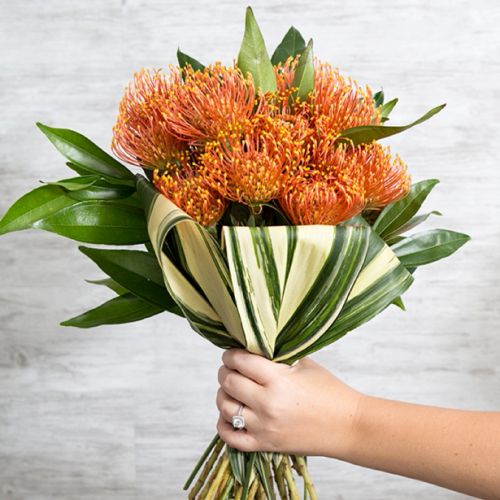 Protea Bouquet