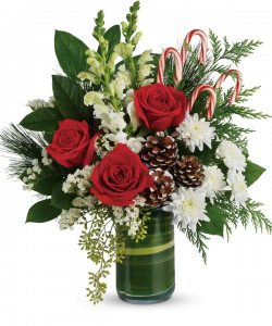 Festive Pines Arrangement