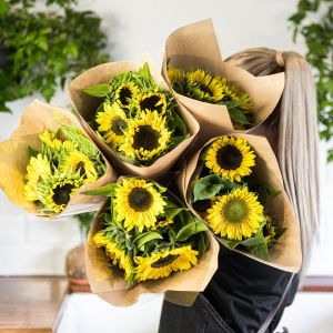 Farm Fresh Sunflowers