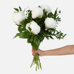 Bowl Of Cream Peony Bouquet