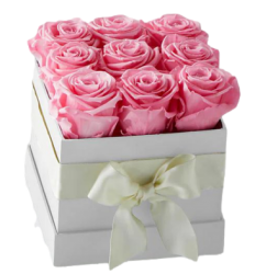 Eternal Rose Box Collection - Pink