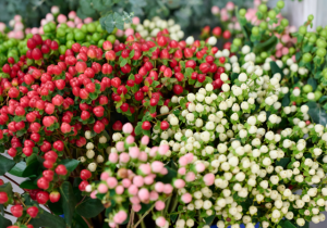 Spring Berry Bouquet