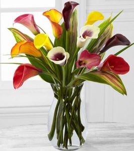 Calla Lily Arrangement