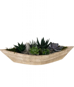 Large Succulent Boat