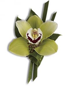 Green Orchid Boutonniere