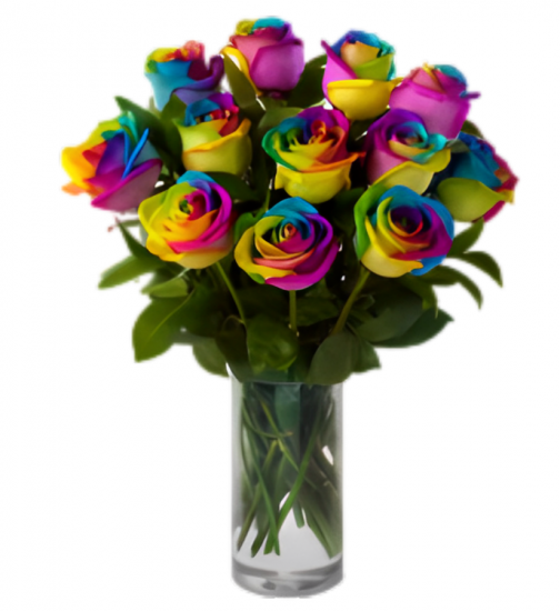 Dozen Rainbow Roses