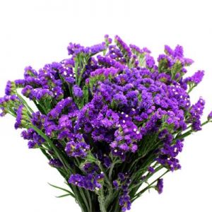 Purple Statice Bouquet 