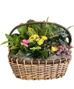 Blooming Garden Basket