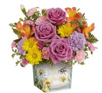 Floral Buzz Arrangement