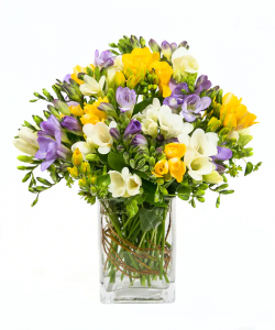 Freesia Blooms Arrangement