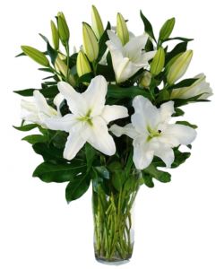 Elegant White Lilies