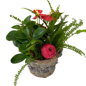 Autumn Tropical Garden Basket