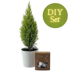 DIY Christmas Tree Set