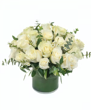 MODERN WHITE ROSES