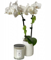 White Orchid & Candle Set