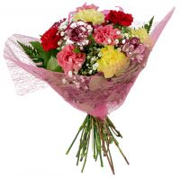 Dozen Carnations Bouquet