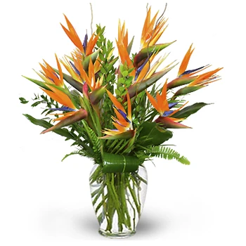 Birds of Paradise Arrangement