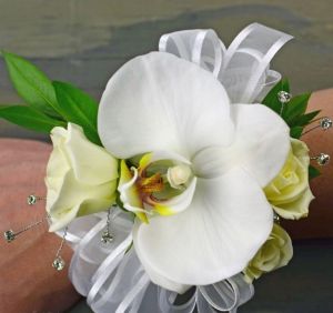 Phalaenopsis Orchid & Rose Corsage