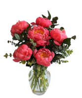  CORAL CHARM PEONIES