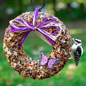 Wild Bird Seed Wreath