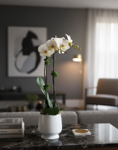 Regal Orchid In White Footed Urn
