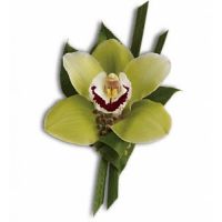 Green Orchid Boutonniere