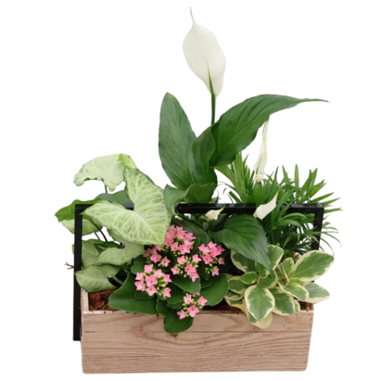Nature Garden Crate
