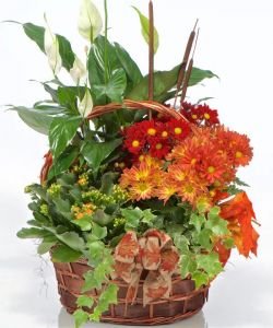 Blooming Garden Basket