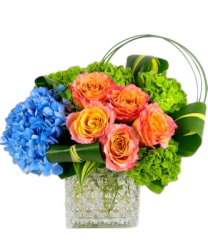 Vibrant In Bloom