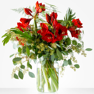 Amaryllis Arrangement