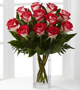 Fire and Ice Dozen Roses