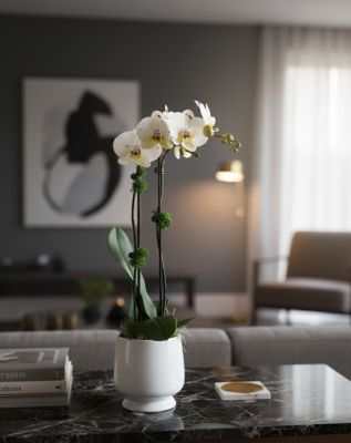 Regal Orchid In White Footed Urn