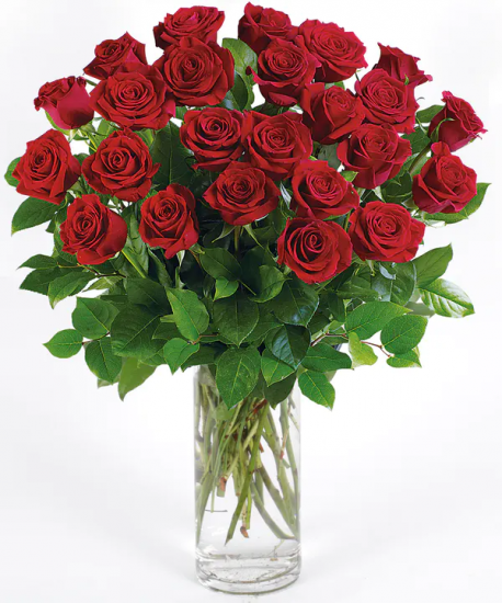 Valentine S Day Flowers Same Day Delivery In Milton On