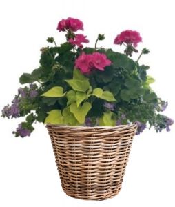 Summer Porch Planter