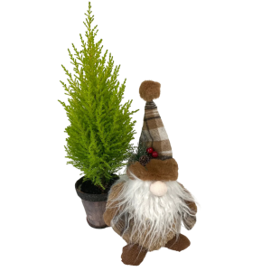 Gnome & Cypress Planter