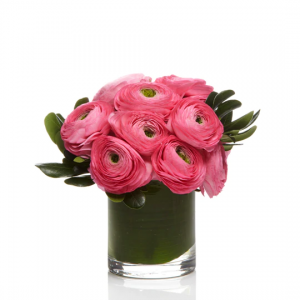 Sweet Ranunculus 