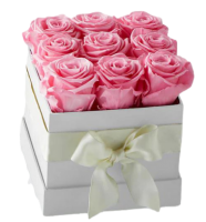 Eternal Rose Box Collection - Pink