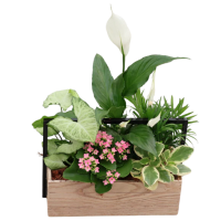 Nature Garden Crate