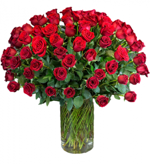 100 PREMIUM LONG STEM ROSES