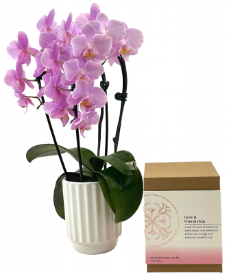 Loving Retreat - Orchid & Candle Set