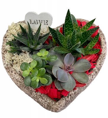 Loving Heart Succulent Planter