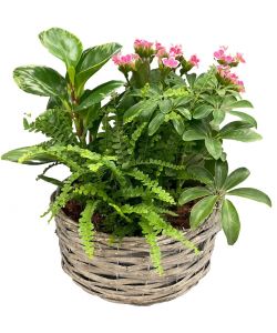 BLOOMING PLANTER BASKET