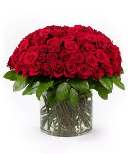 100 Premium Red Roses